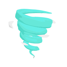 Spin